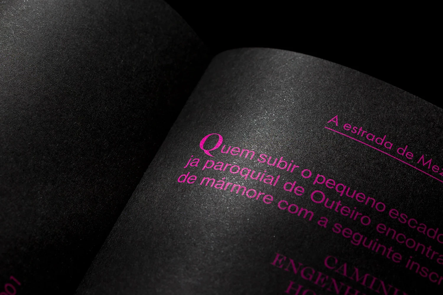 cecilia-lages-book-design-2